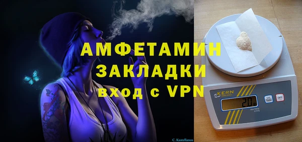 твердый Вяземский