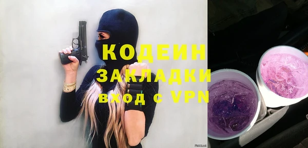 твердый Вяземский