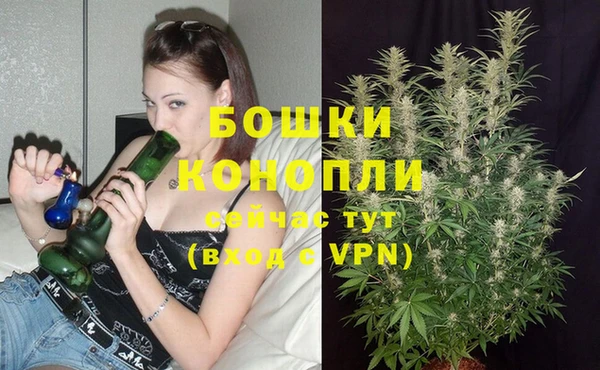 твердый Вяземский